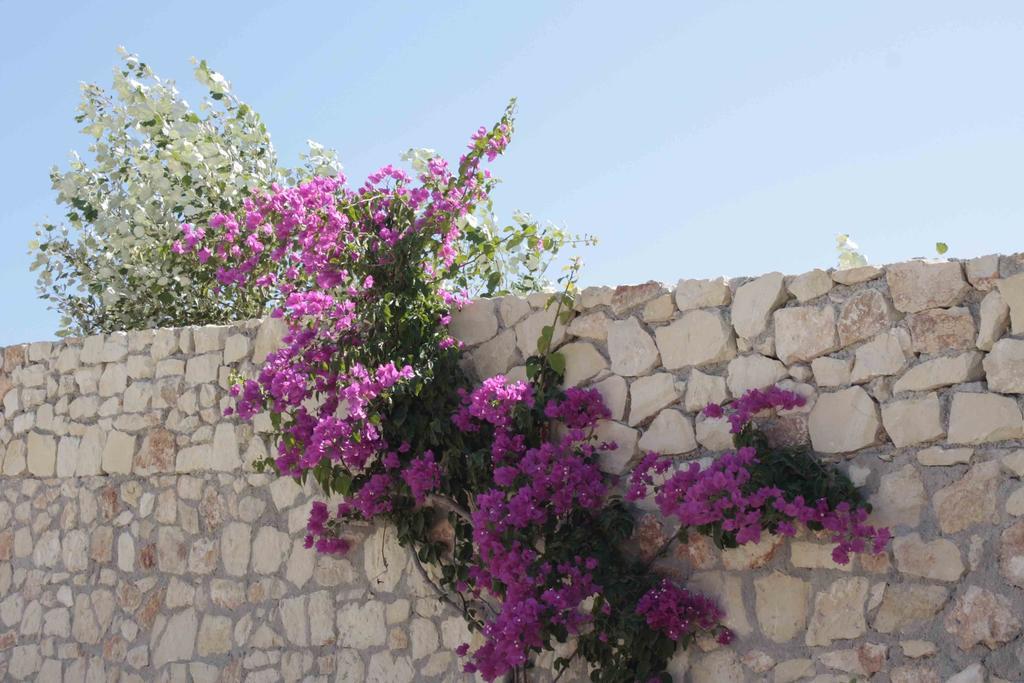 Crete View Villa Marathi  Rom bilde